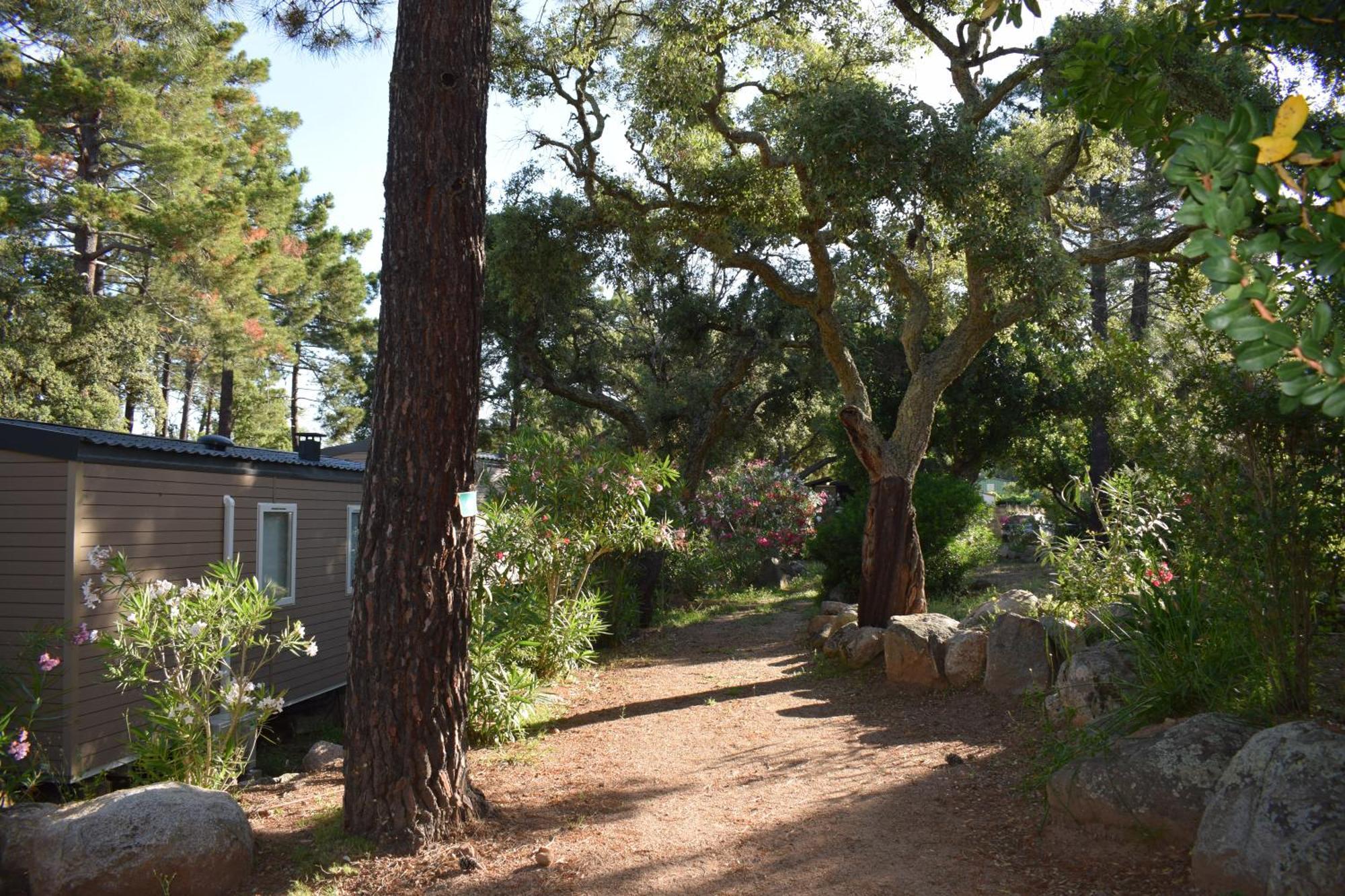Petralegna Villa Porto-Vecchio  Buitenkant foto