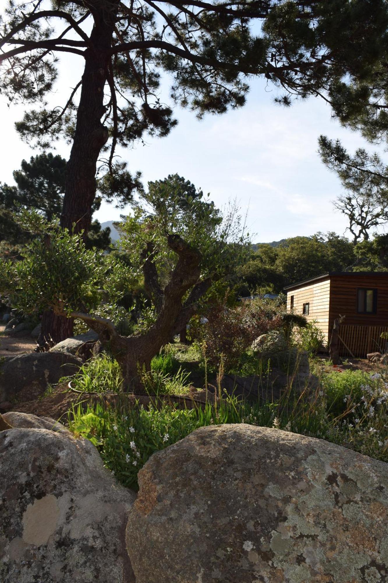 Petralegna Villa Porto-Vecchio  Buitenkant foto